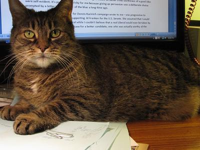 Wilson sitting on my desk.