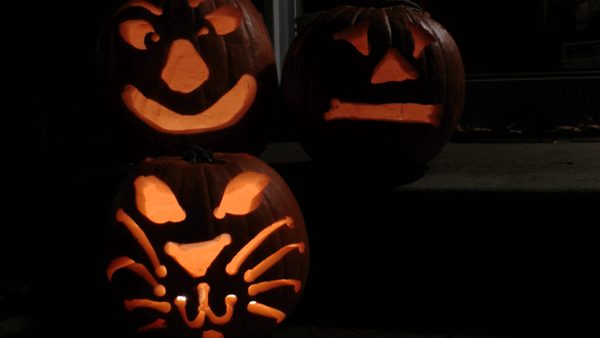 Two Jack-O'-Lanterns and a Cat
